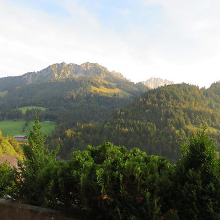 Chalet Erica Apartment Jaun Luaran gambar