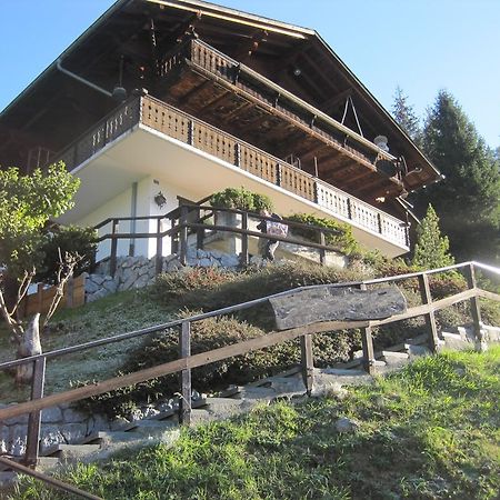 Chalet Erica Apartment Jaun Luaran gambar