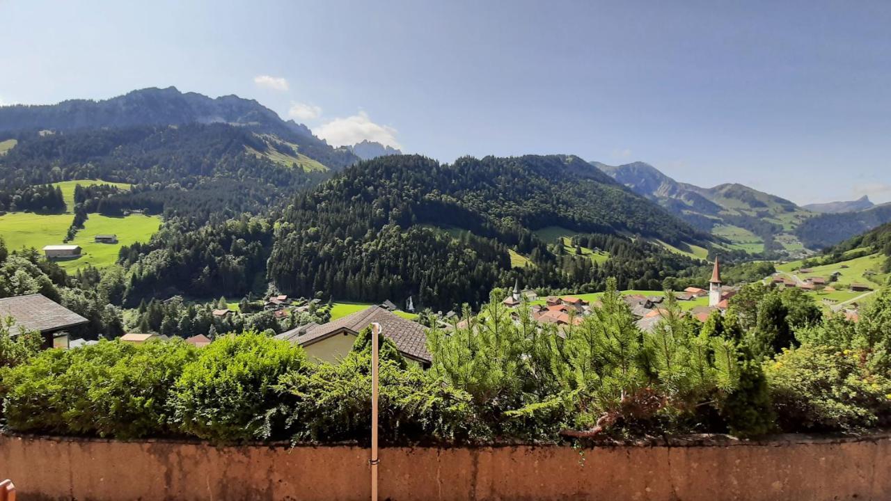 Chalet Erica Apartment Jaun Luaran gambar
