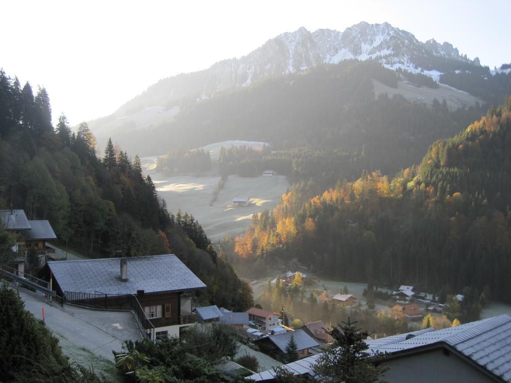 Chalet Erica Apartment Jaun Luaran gambar