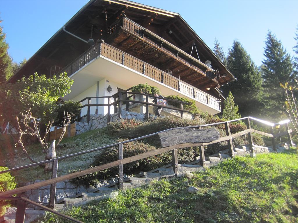 Chalet Erica Apartment Jaun Luaran gambar
