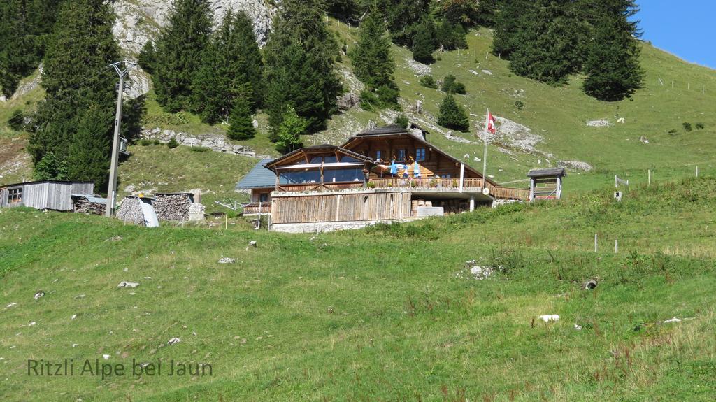 Chalet Erica Apartment Jaun Luaran gambar