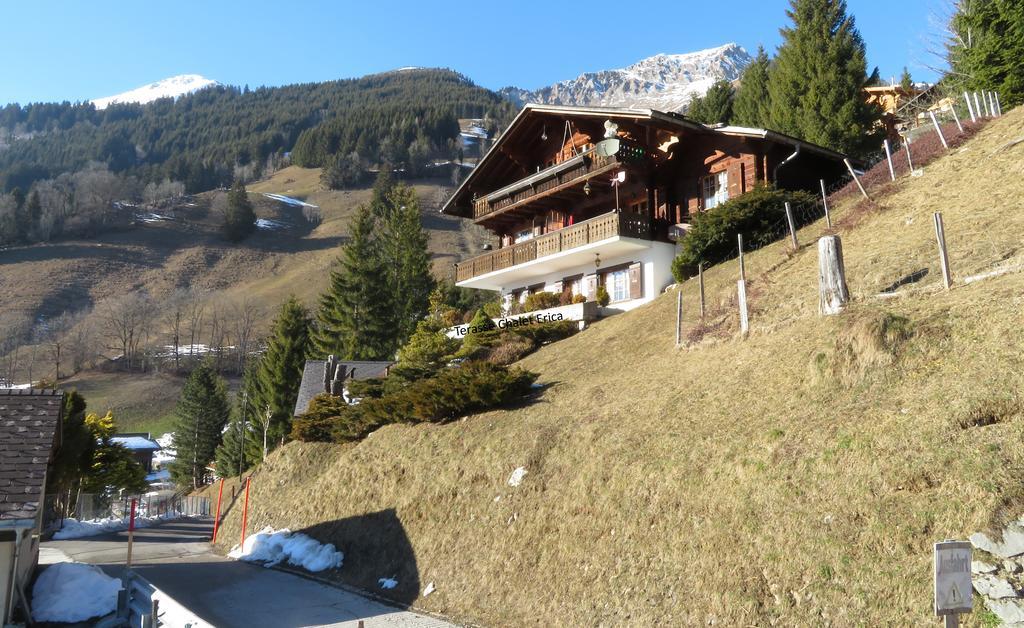 Chalet Erica Apartment Jaun Luaran gambar